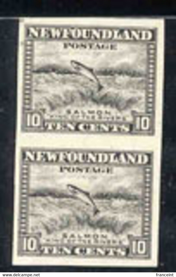 NEWFOUNDLAND(1932) Salmon. Imperforate Proof Pair On Thick Paper, Ungummed As Always. Scott No 193 - Other & Unclassified
