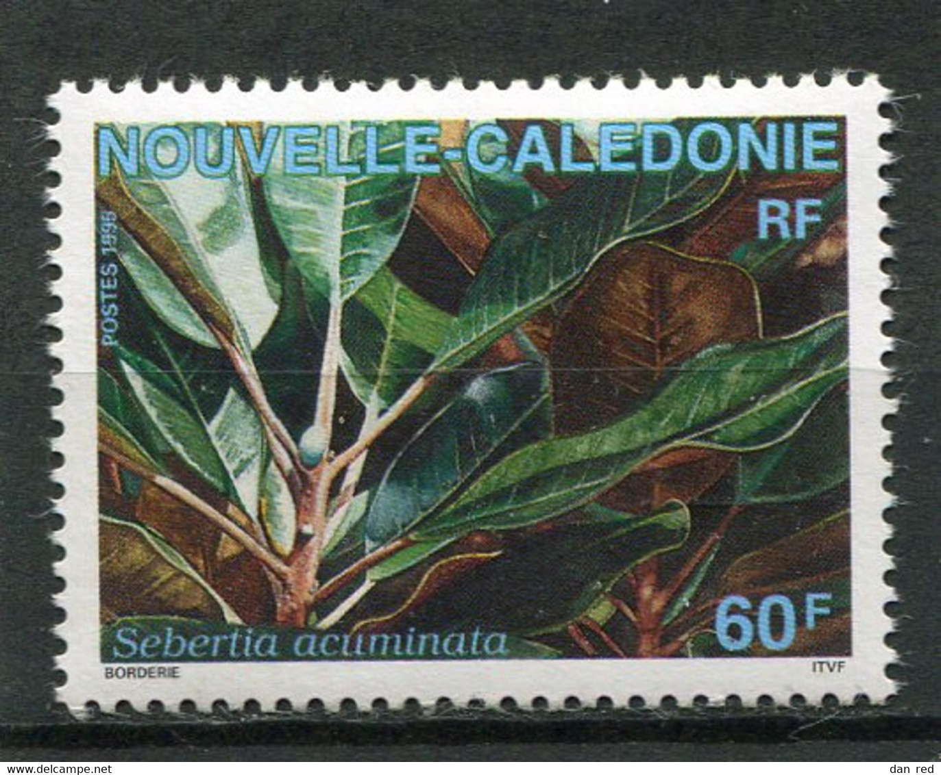 NOUVELLE CALEDONIE  N°  692  (Y&T)  (Oblitéré) - Used Stamps