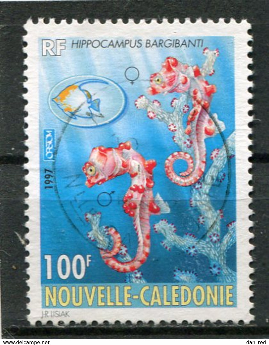 NOUVELLE CALEDONIE  N°  740  (Y&T)  (Oblitéré) - Used Stamps