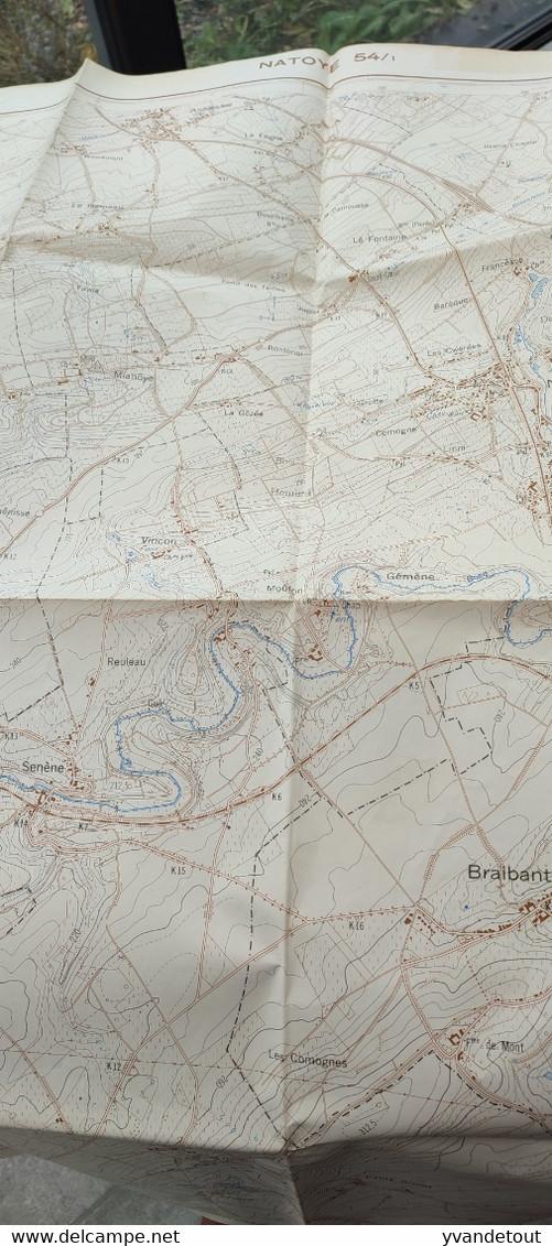 Carte Topographique. Natoye 54/1 Spontin Braibant Sovet - Topographische Karten