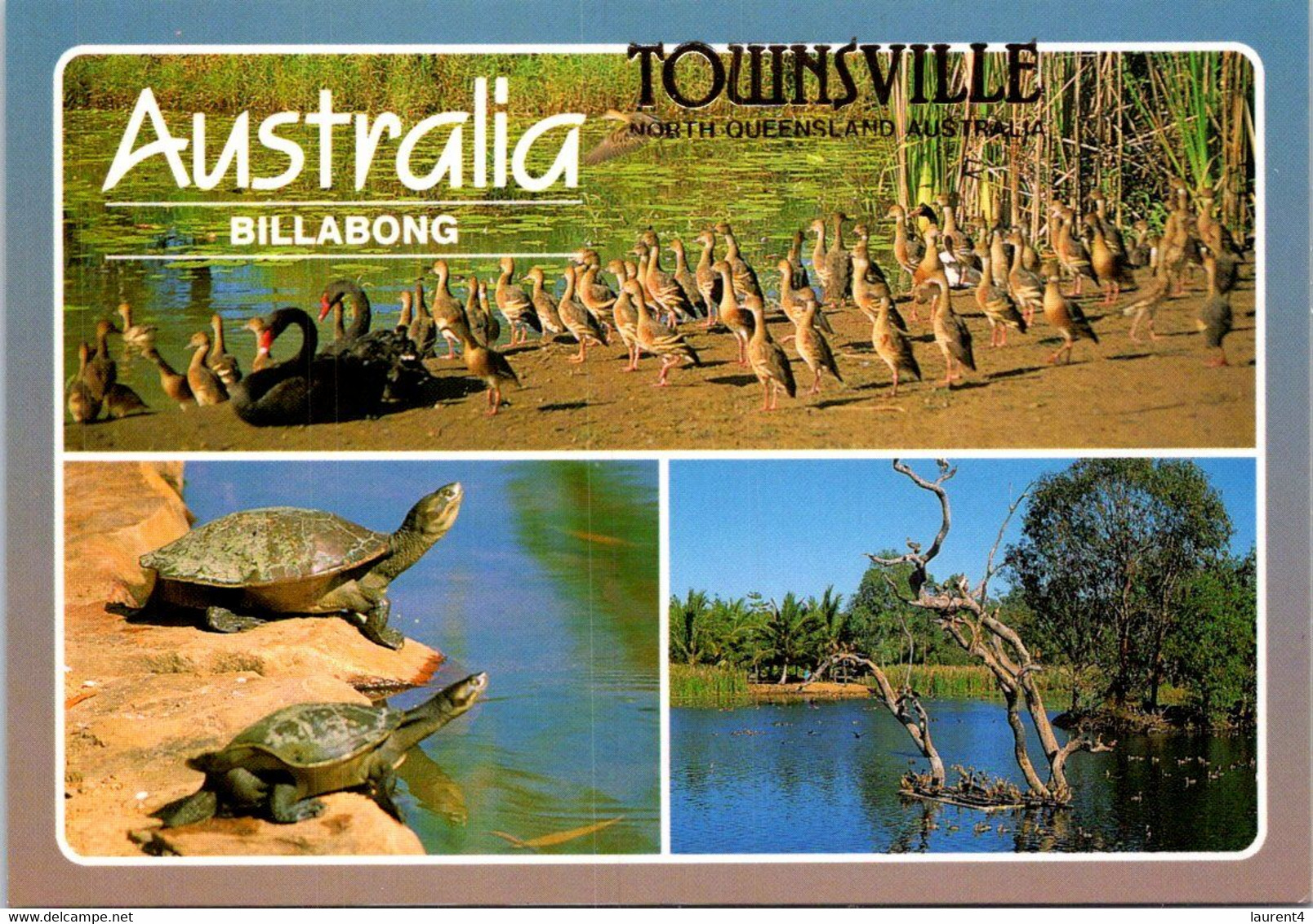 ( 1 N 28) Australia - Goose Bird + Swan + Turtles - Schildpadden