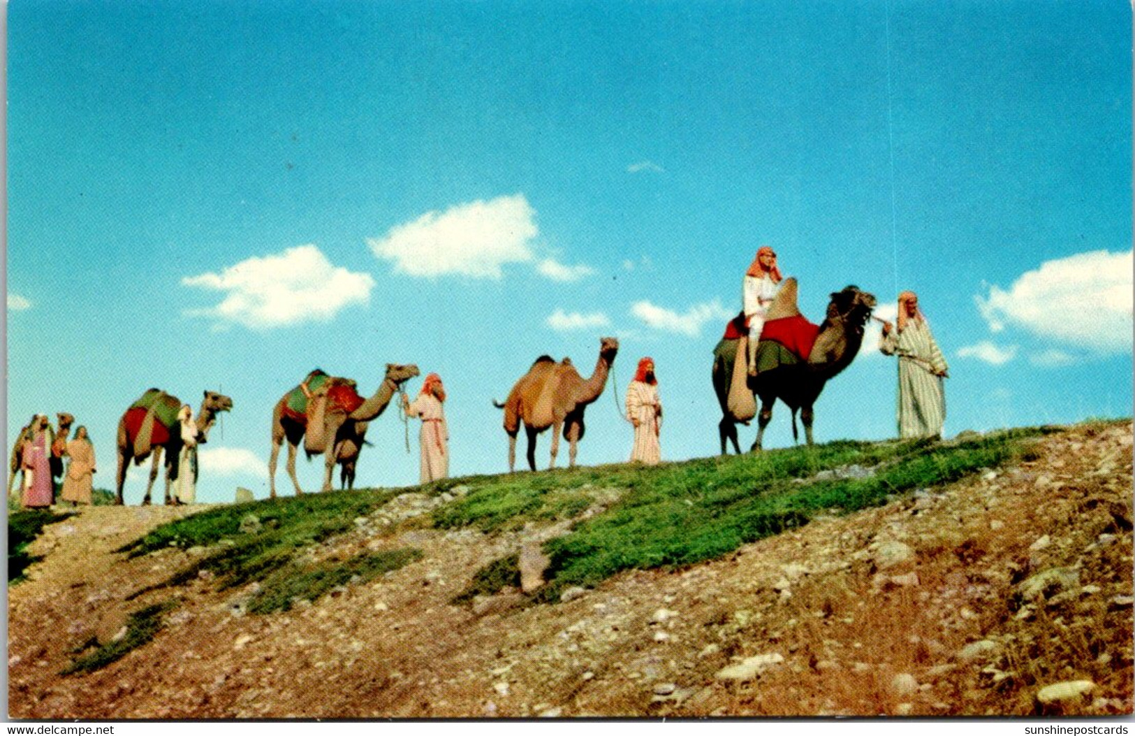 South Dakota Spearfish Black Hills Passion Play Camel Caravan - Other & Unclassified