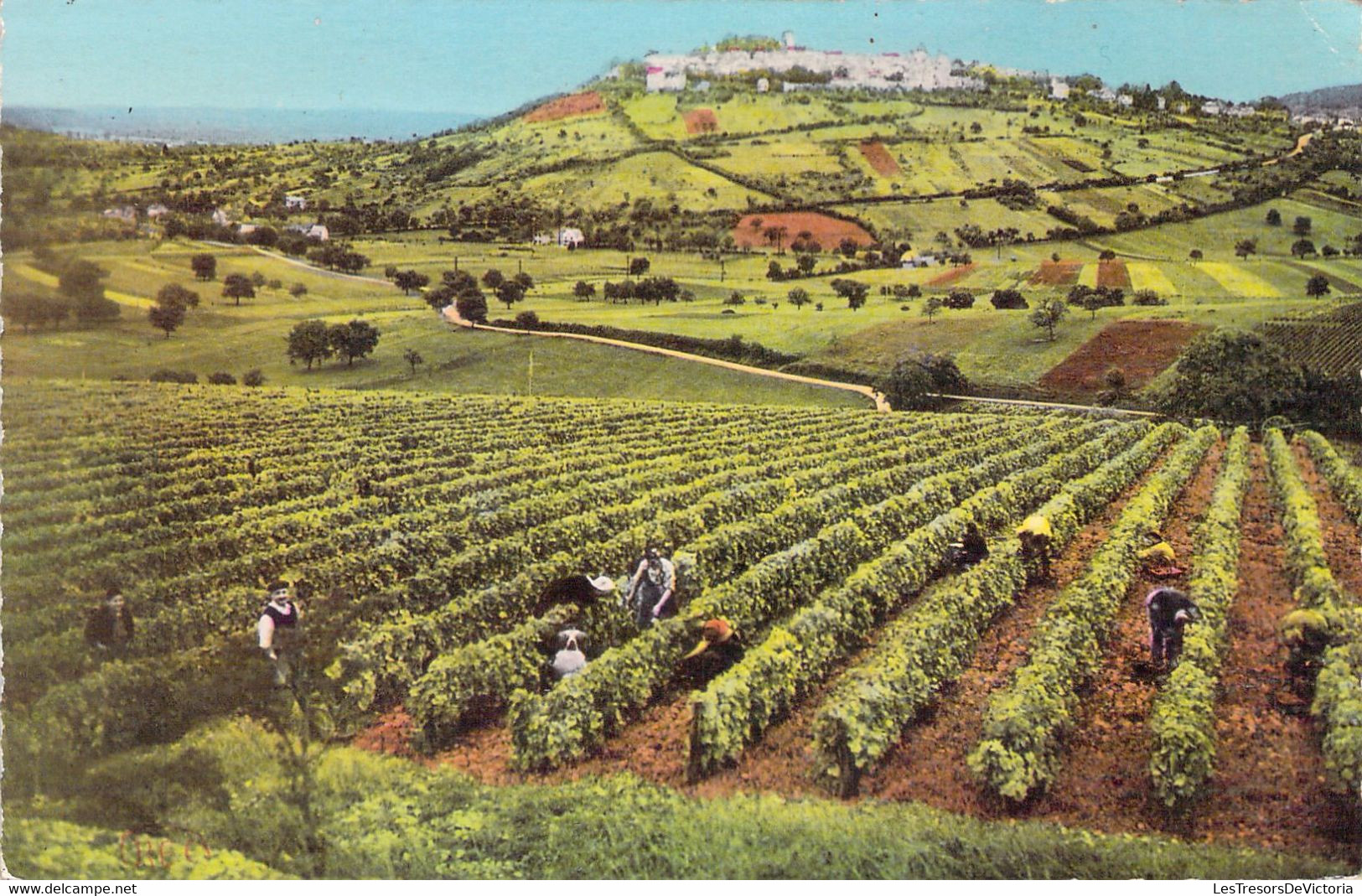 CPA - FRANCE - 18 - FONTENAY SUR SATUR - Vendanges AU CLOS LA PERRIERE - Colorisée - Other & Unclassified