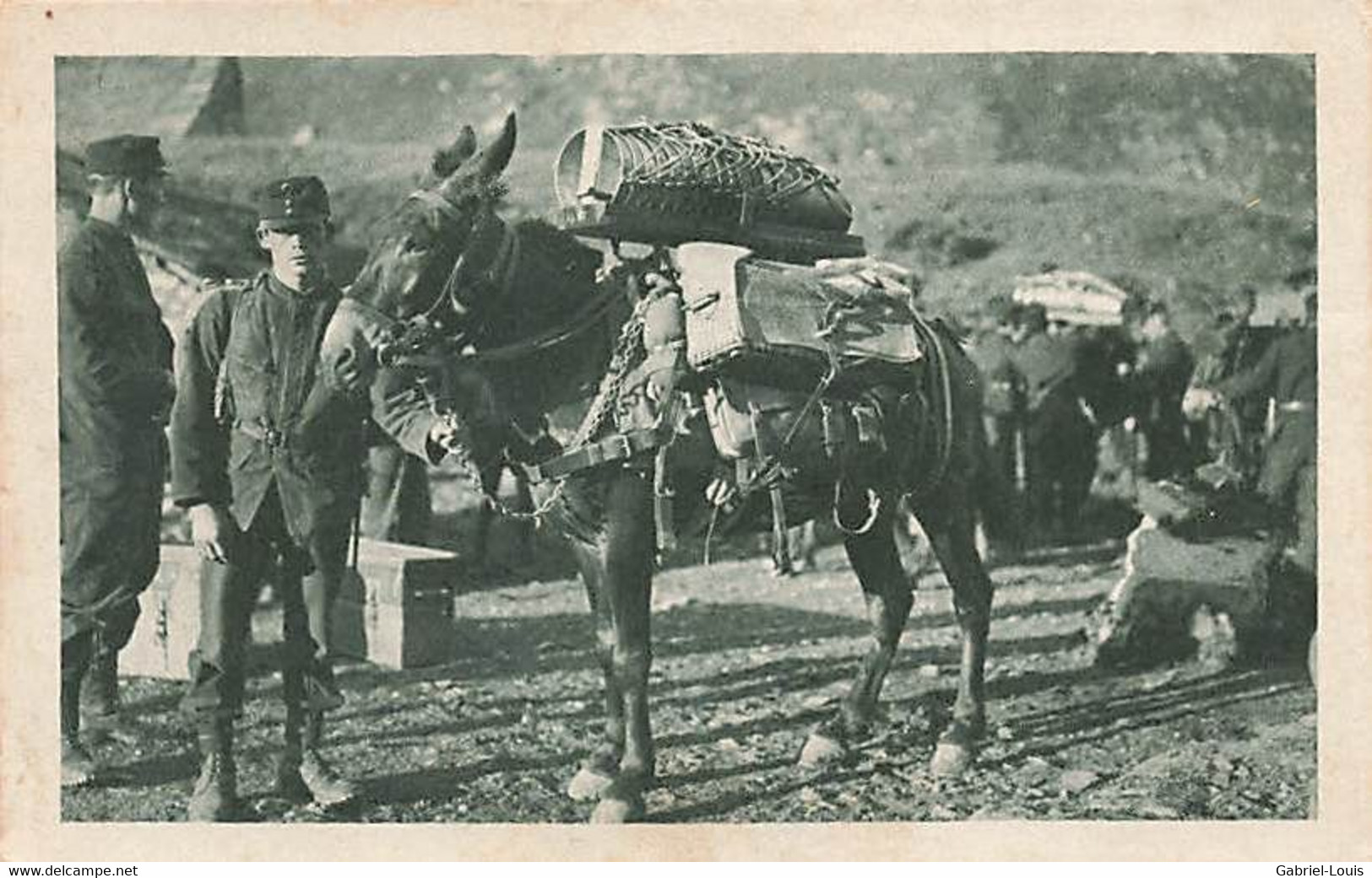 Militaria  - Schweiz Armee - Armée Suisse -  Mulet Maultier Publivité Chocolat Cho-Kohler Peter Gala Delta - Andere & Zonder Classificatie