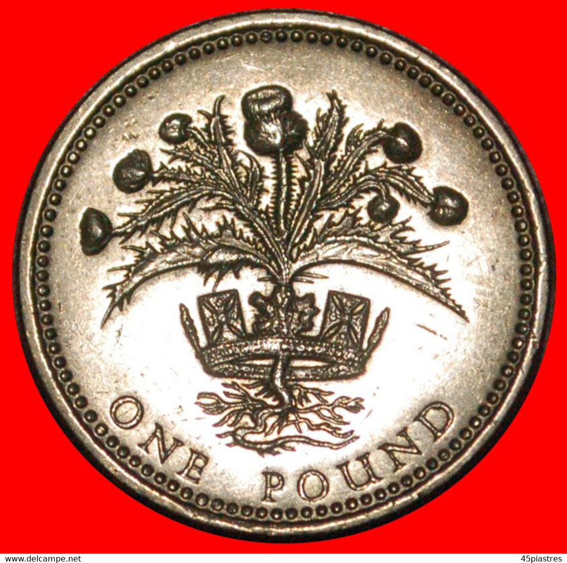 * THISTLE: GREAT BRITAIN ★ 1 POUND 1989 XF!  LOW START ★ NO RESERVE! - 1 Pond