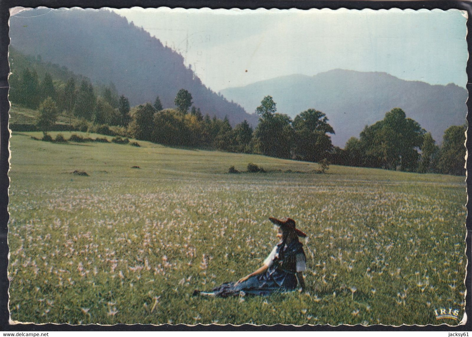 88 - Les Vosges Pittoresques - Les Colchiques - Lorraine