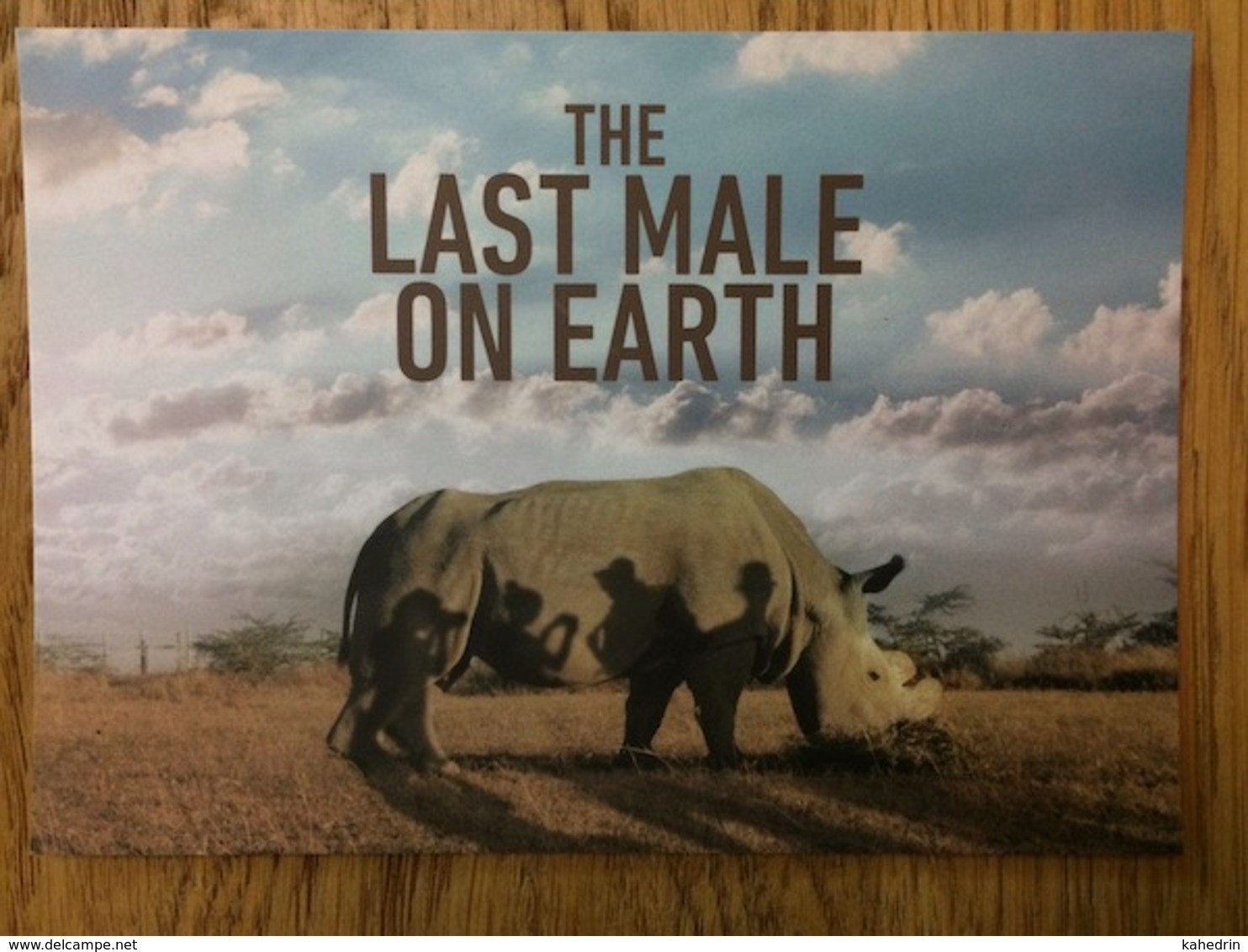 The Last Male On Earth, Northern White Rhinoceros, Rhino - Neushoorn