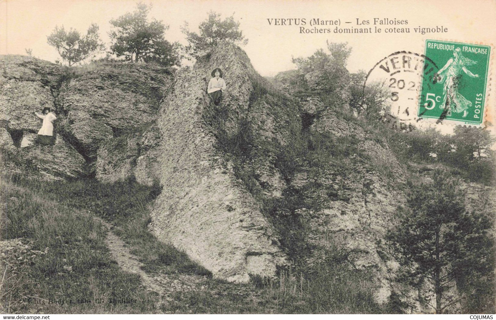 51 - VERTUS - S05177 - Les Falloises - Rochers Dominant Le Coteau Vignoble - L8 - Vertus