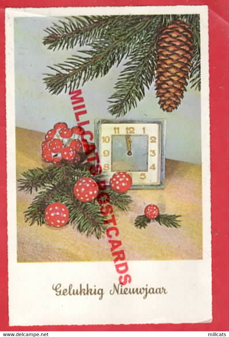 CLOCK  PINE CONE TOADSTOOL    FUNGHI   Pu 1960 - Giftige Pflanzen