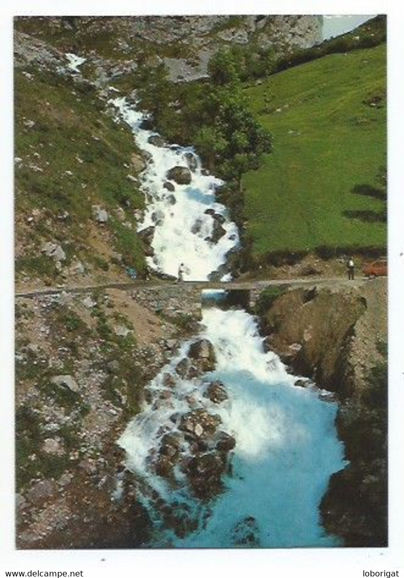 FUENTE DE LA JARDA.- PICOS DE EUROPA.- CAIN - LEON - ( ESPAÑA) - León