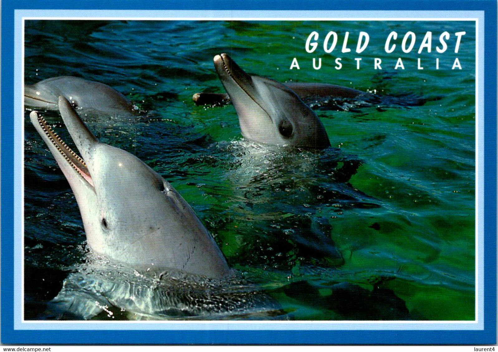 ( 1 N 35) Australia - Gold Coast Dolphin - Dauphins