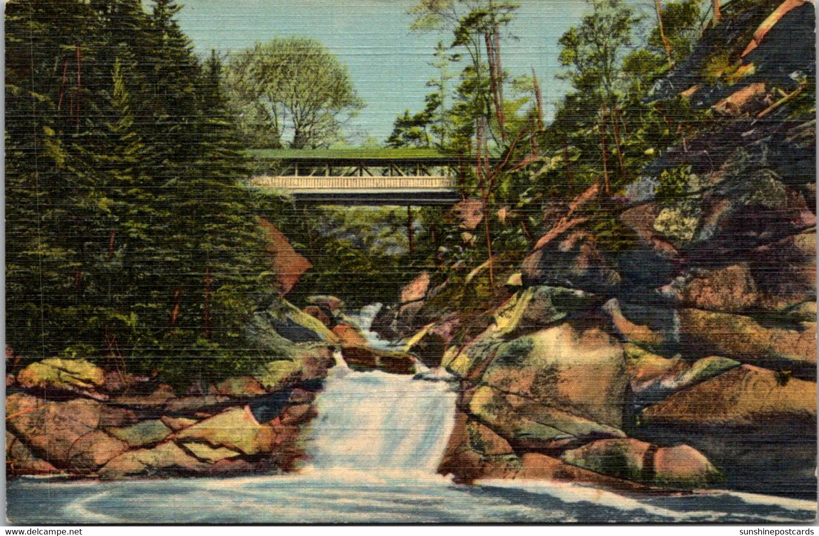 New Hampshire White Mountains Franconia Notch Flume The Pool And Sentinel Pine Bridge Curteich - White Mountains