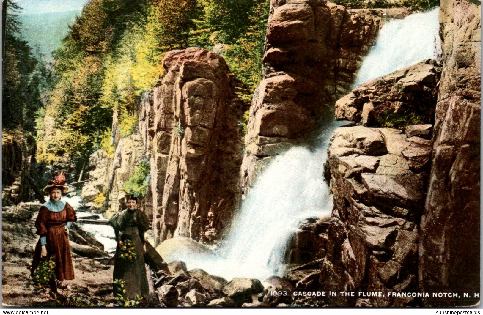 New Hampshire White Mountains Franconia Notch Cascade In The Flume - White Mountains