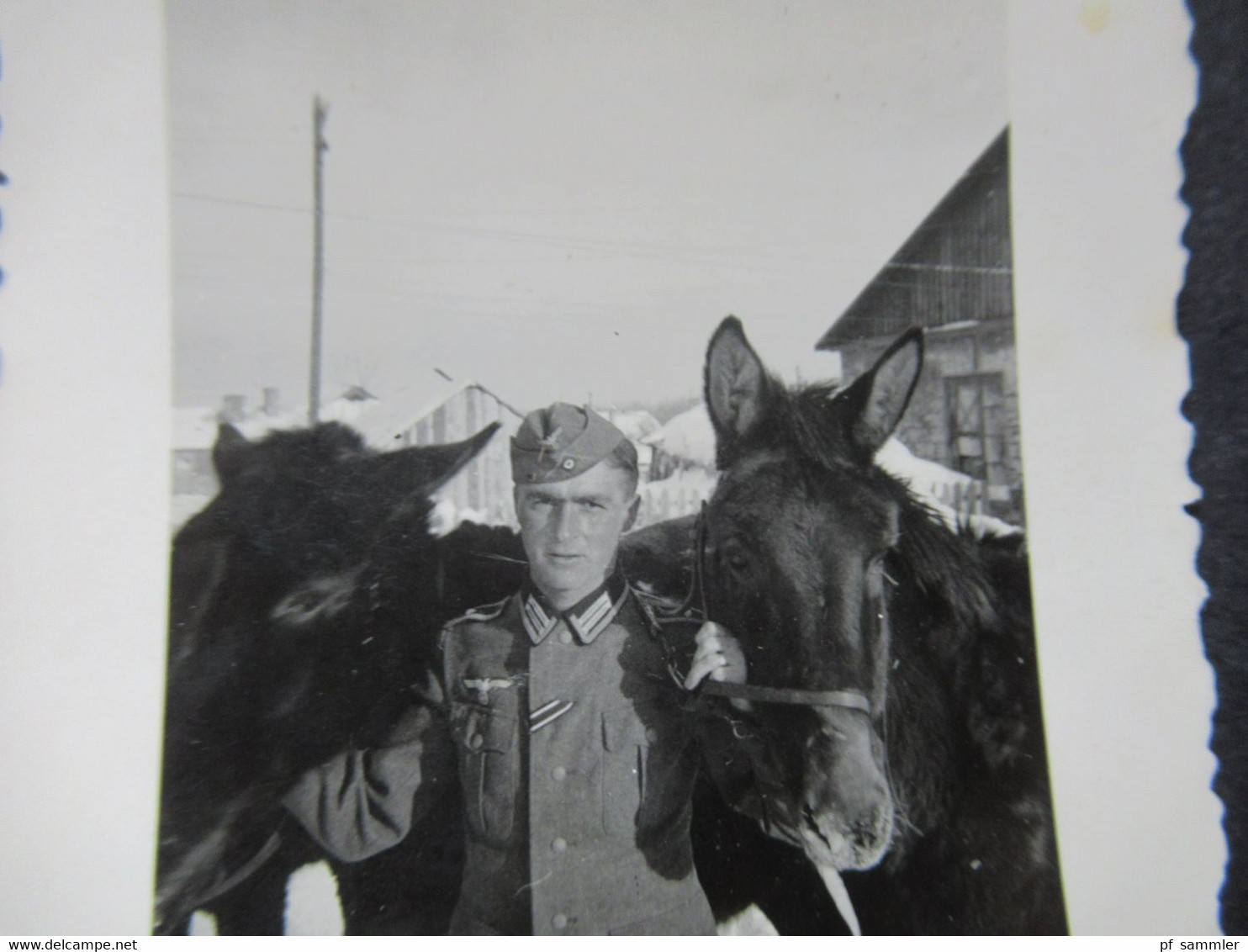 Original Kleines Foto Zeit Des 3.Reich Um 1940 Soldat Der Wehrmacht In Uniform Mit 2 Pferden - War, Military