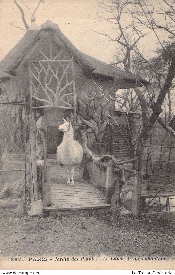 CPA - FRANCE - 75 - PARIS - JARDIN DES PLANTES - Le Lama Et Son Habitation - Parks, Gardens