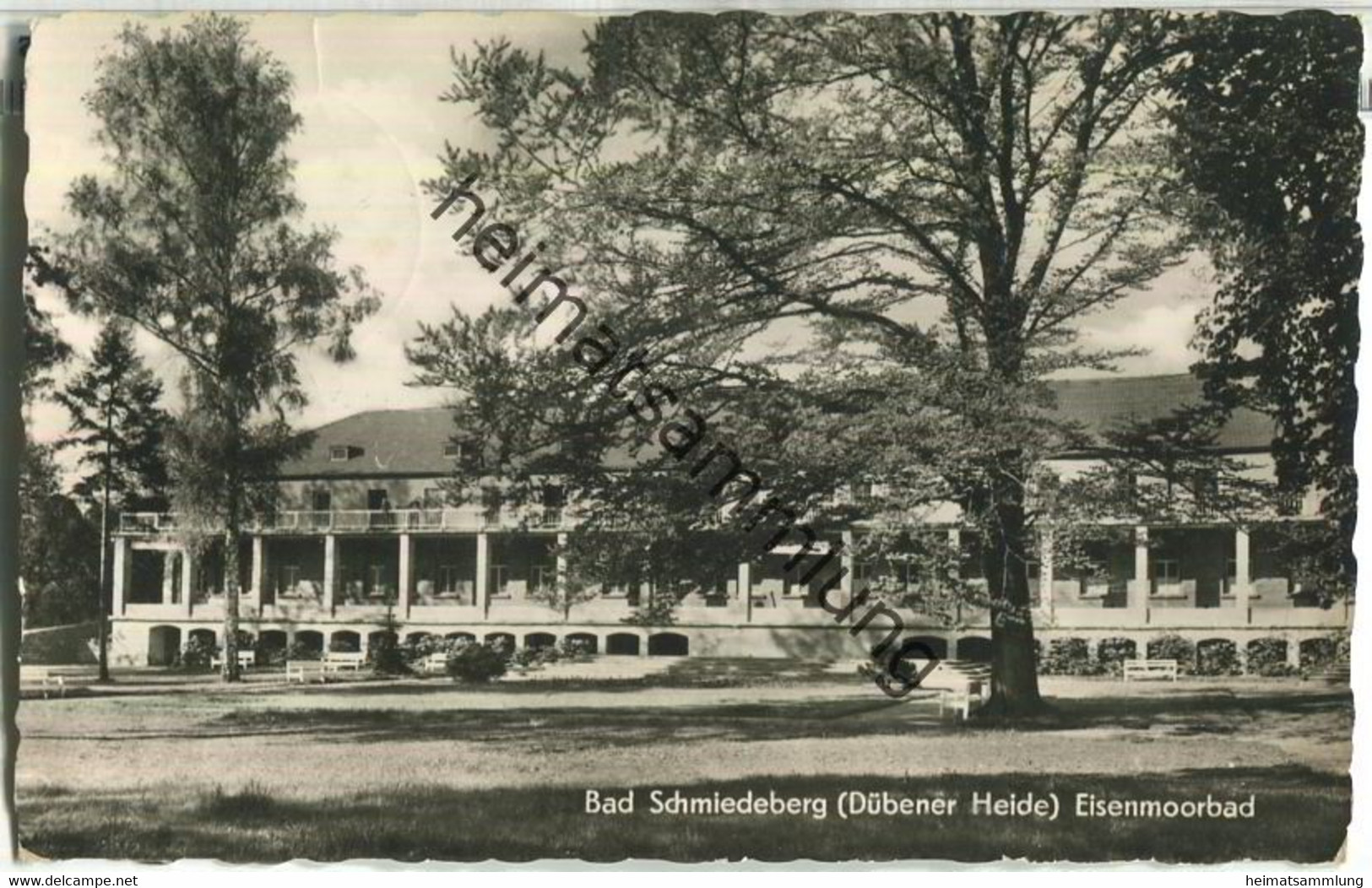 Bad Schmiedeberg - Eisenmoorbad - Foto-Ansichtskarte - Verlag Bernhard Fensch Bad Düben - Bad Schmiedeberg
