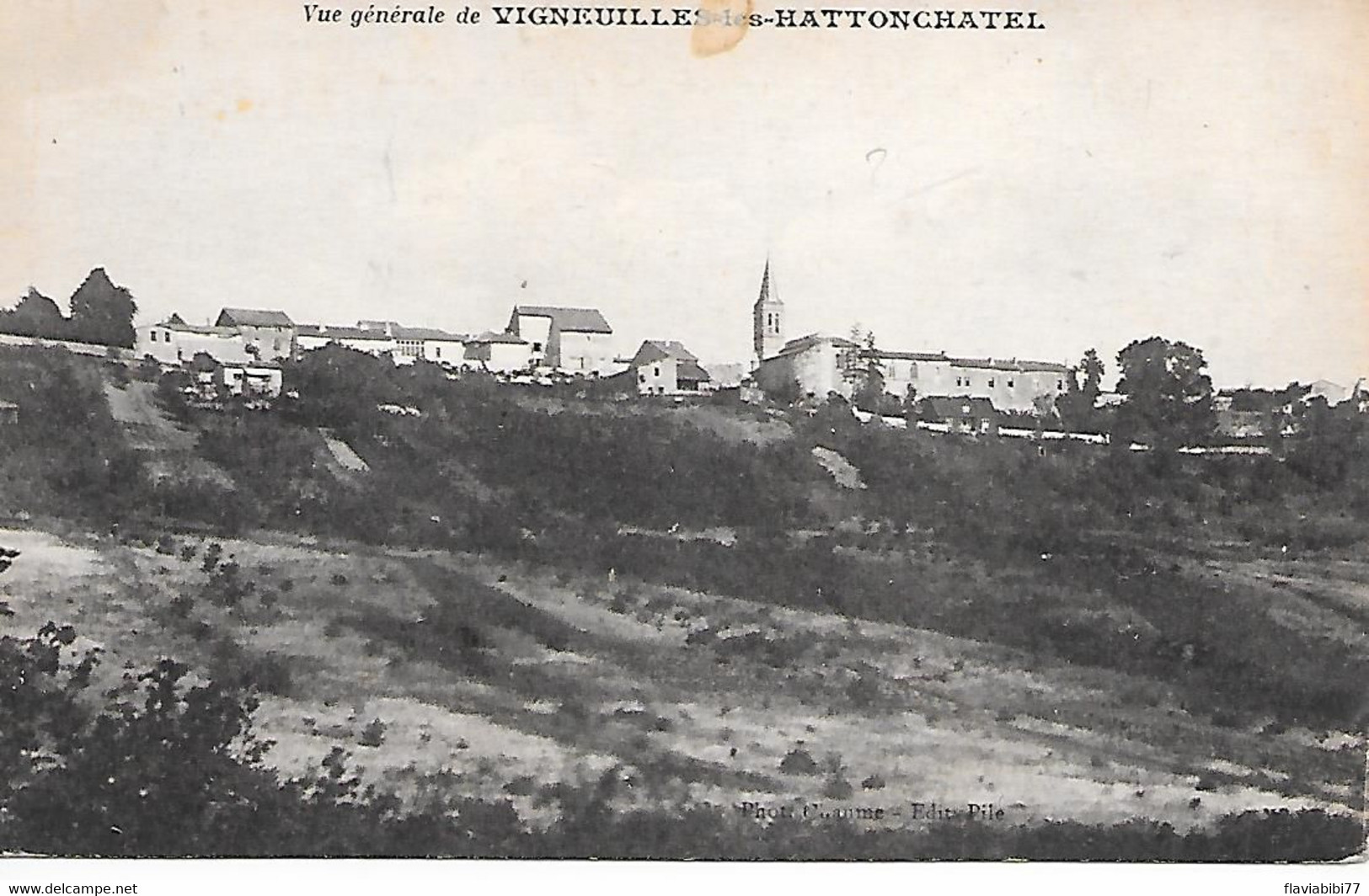 VIGNEUILLE -LES -HATTONCHATEL - ( 55 )-   Vue Générale - Vigneulles Les Hattonchatel