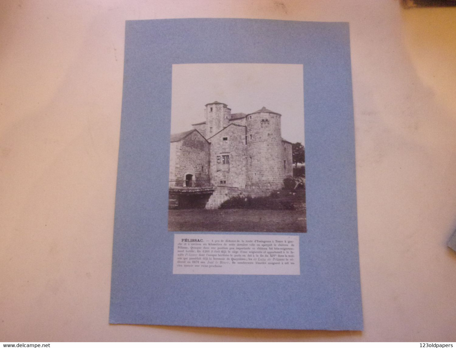 ♥️ 43 Haute-Loire Tirage XIX°  Vers 1880  PELISSAC  PRES TENCE  CHATEAU DE QUEYRIERES - Anciennes (Av. 1900)