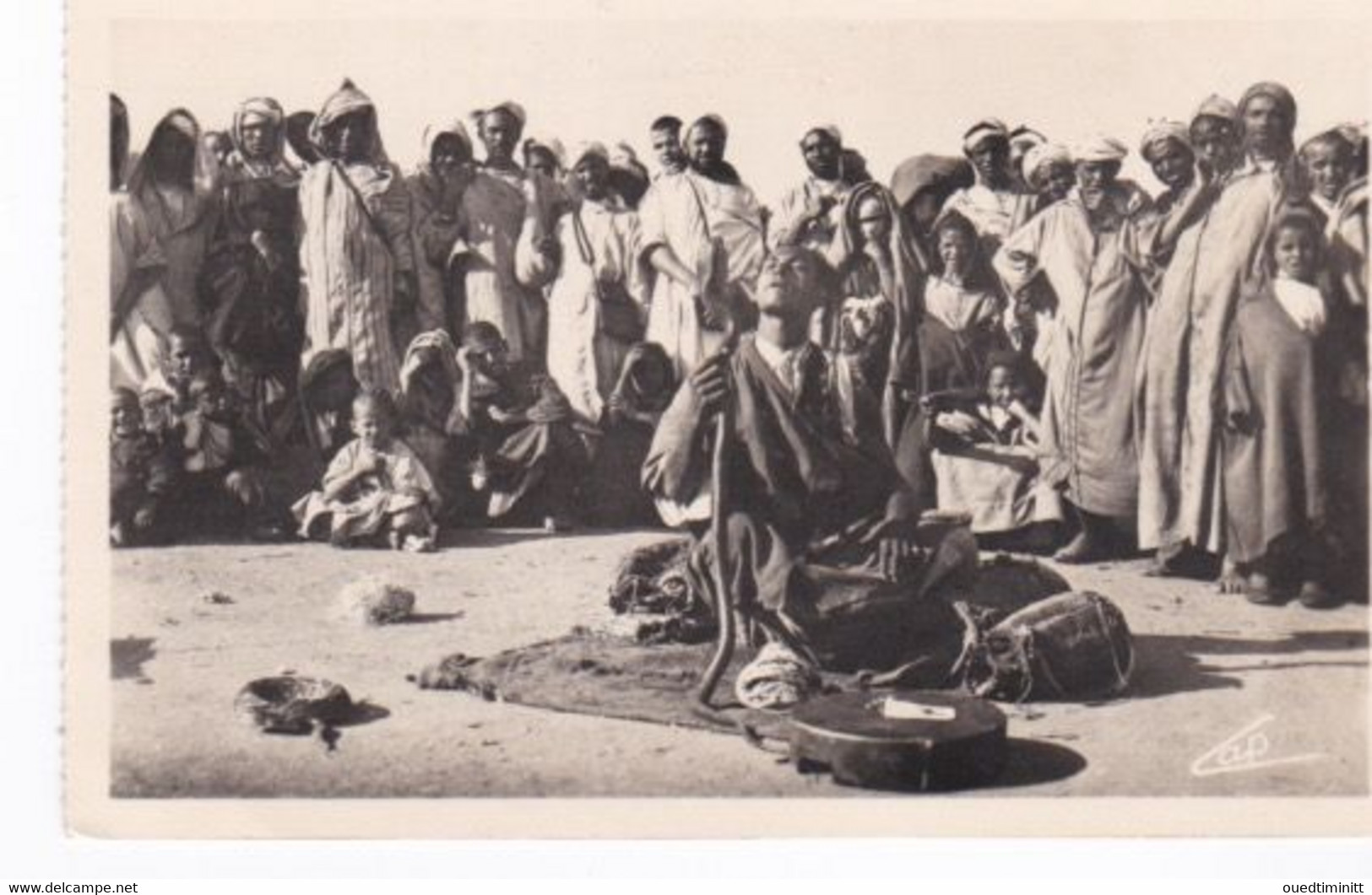 Fès Le Charmeur De Serpents Cpsm - Fez (Fès)