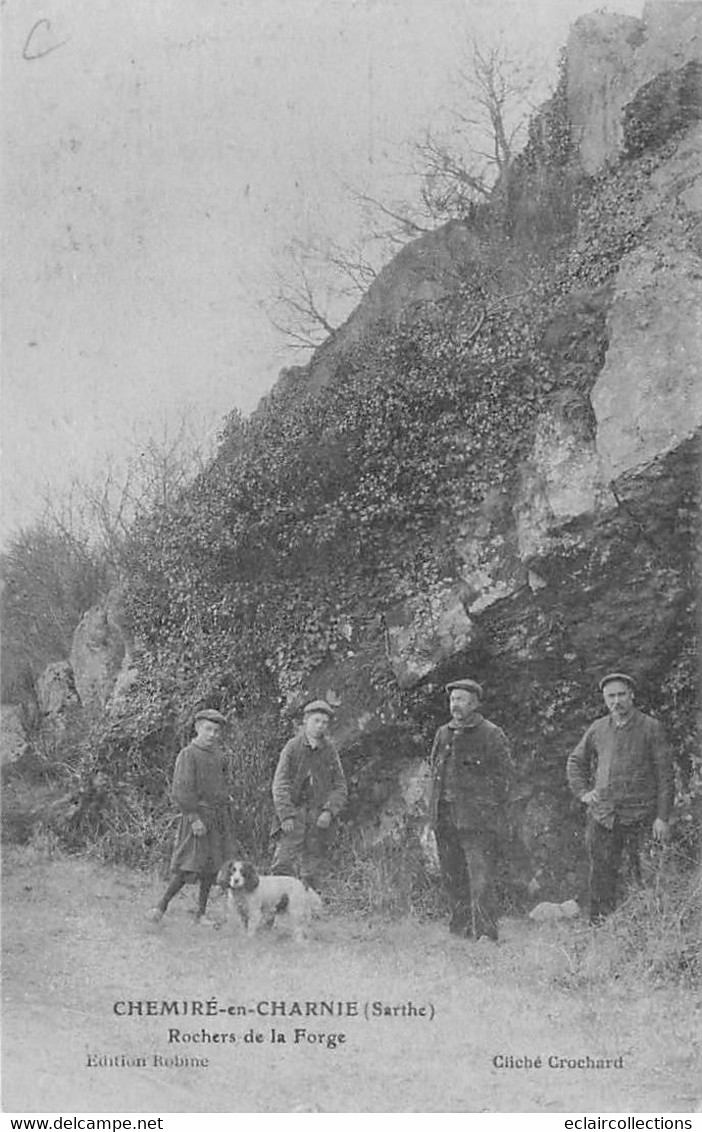 Chemiré En Charnie       72      Rochers De La Forge                 ( Voir Scan ) - Sonstige & Ohne Zuordnung