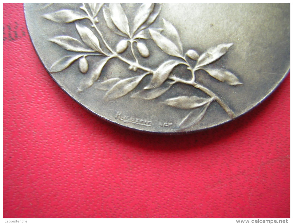 BELLE MEDAILLE  BRONZE MILITAIRE / MILITARIA   ???  PATRIA - Andere & Zonder Classificatie