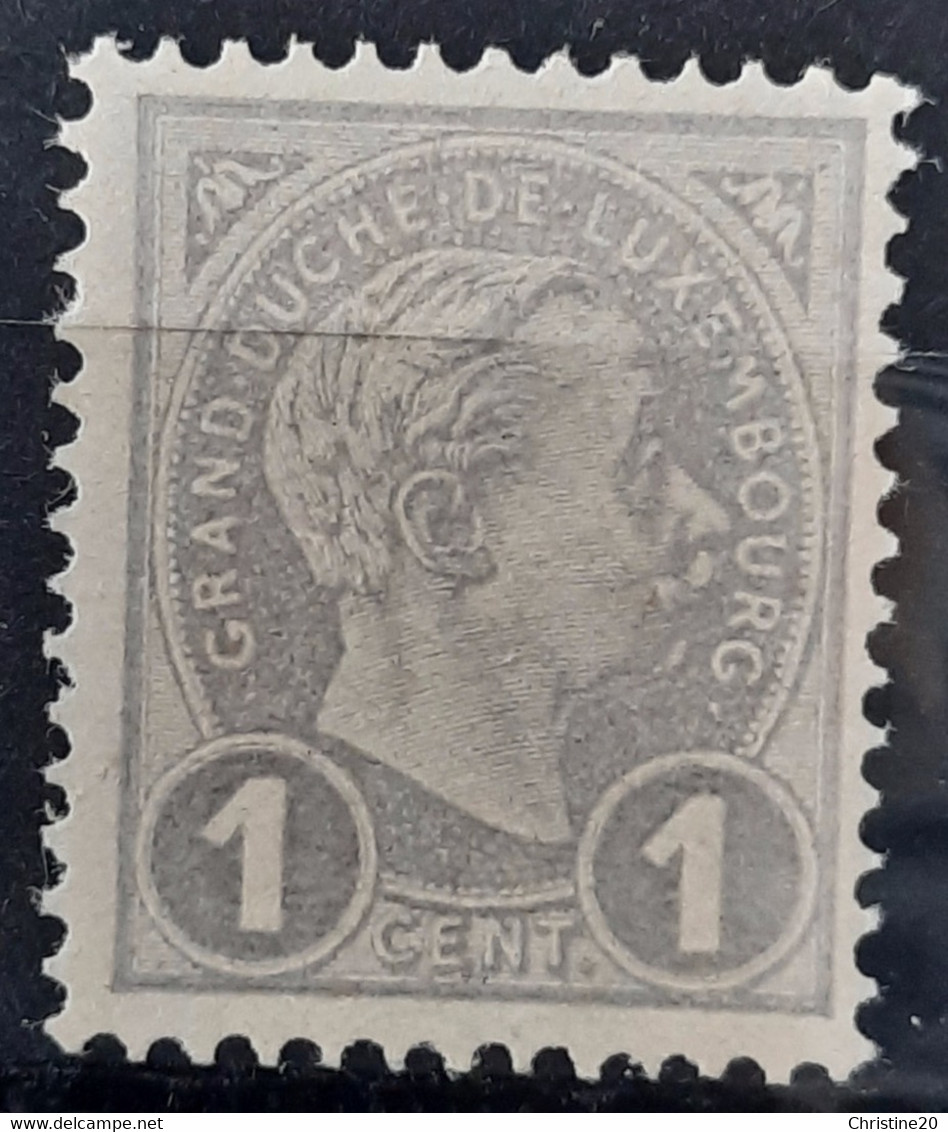 Luxembourg 1895 N°69 **TB Cote 20€ - 1895 Adolphe Rechterzijde