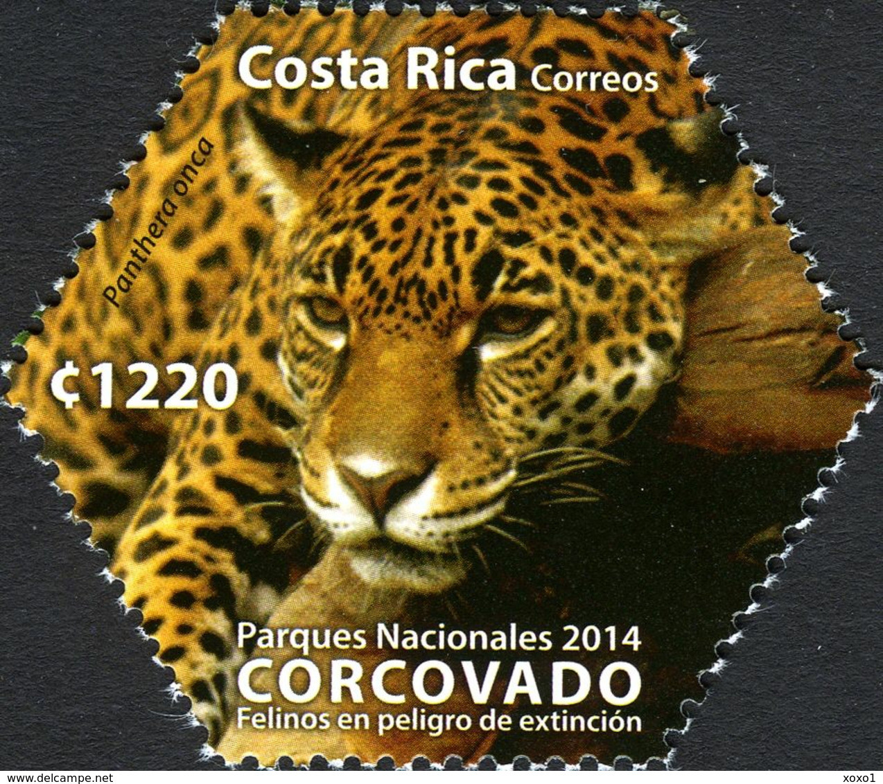 Costa Rica 2014 MiNr. 1802 - 1803 (Block 61) Fauna Cats Of Prey Jaguar Jaguarondi S\sh MNH** 11,00 € - Andere & Zonder Classificatie