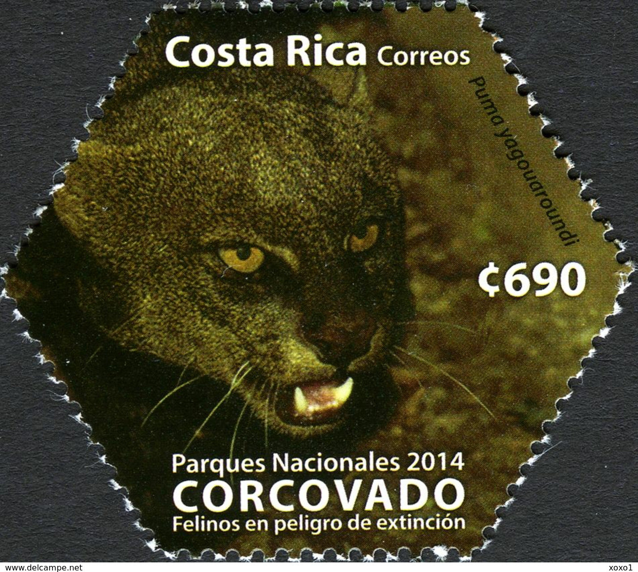 Costa Rica 2014 MiNr. 1802 - 1803 (Block 61) Fauna Cats Of Prey Jaguar Jaguarondi S\sh MNH** 11,00 € - Autres & Non Classés