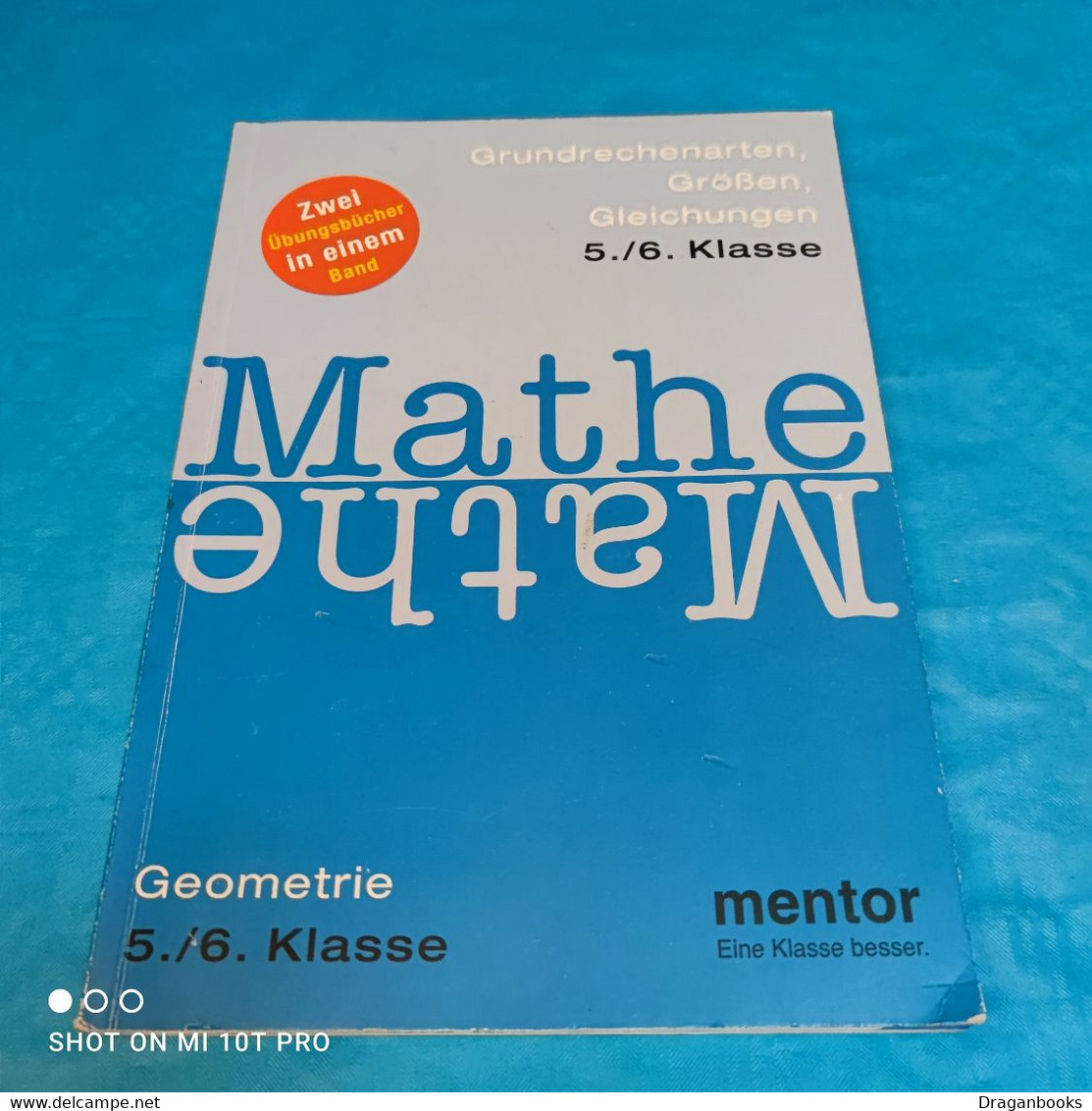 Mentor Übungsbuch Mathe Klasse 5&6 - School Books