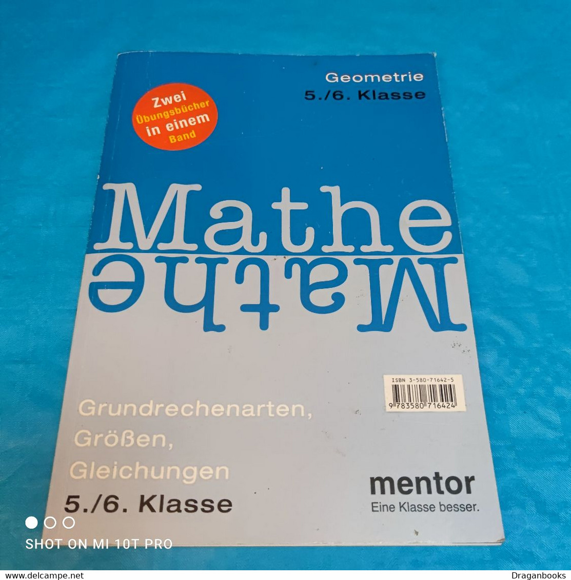 Mentor Übungsbuch Mathe Klasse 5&6 - Schulbücher