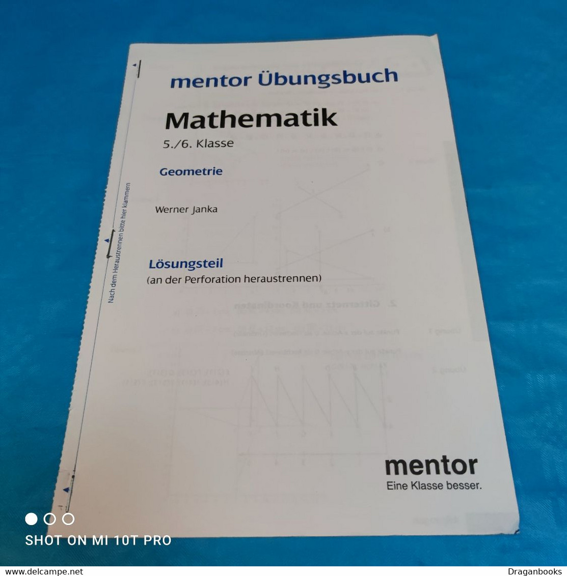 Mentor Übungsbuch Mathe Klasse 5&6 - Schulbücher