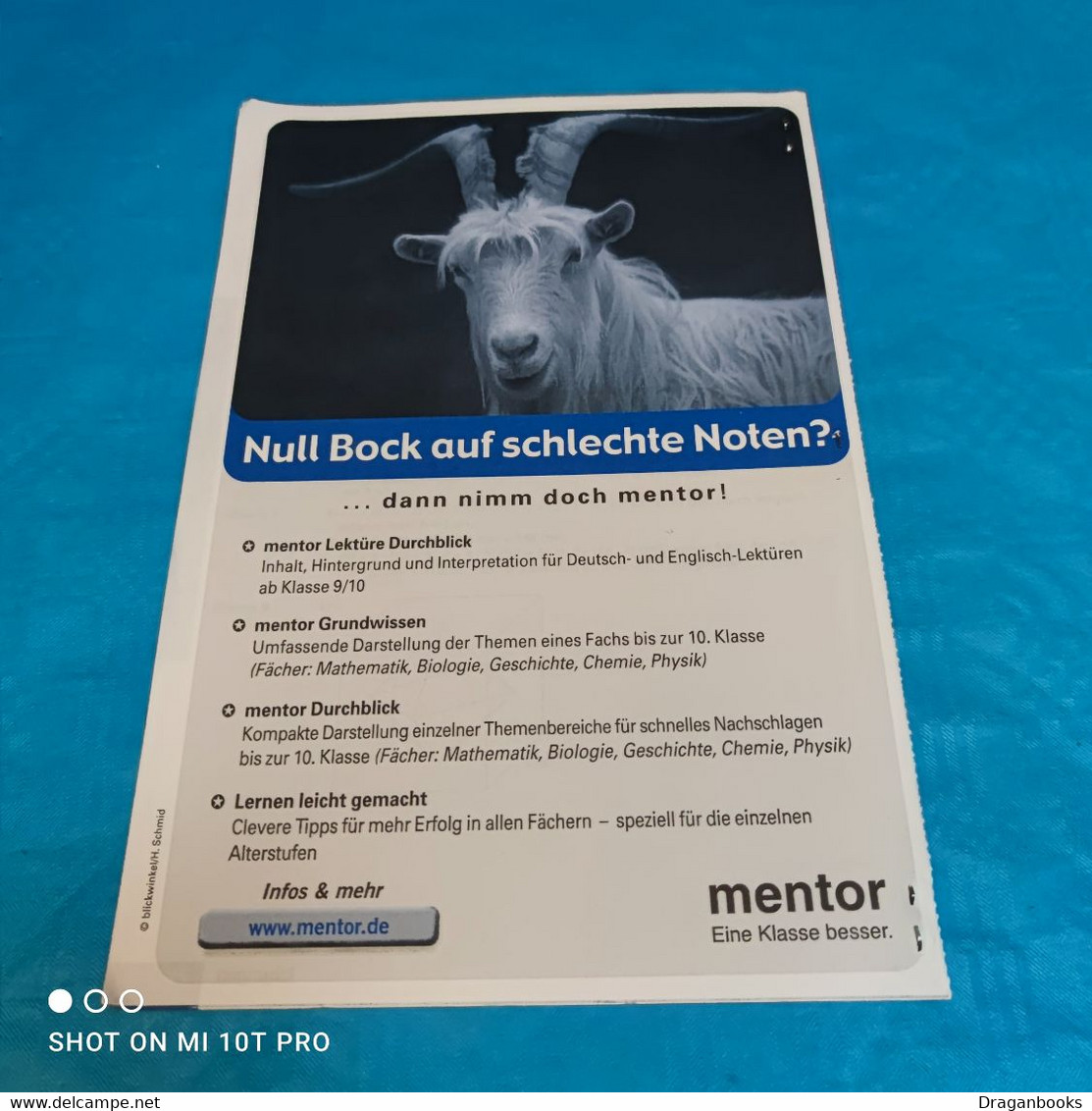 Mentor Übungsbuch Mathe Klasse 5&6 - Schoolboeken