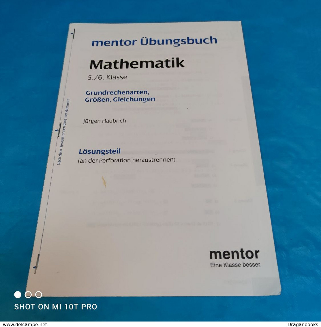 Mentor Übungsbuch Mathe Klasse 5&6 - Livres Scolaires