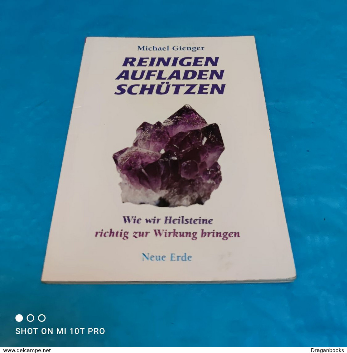 Michael Gienger - Reinigen Aufladen Schützen - Health & Medecine