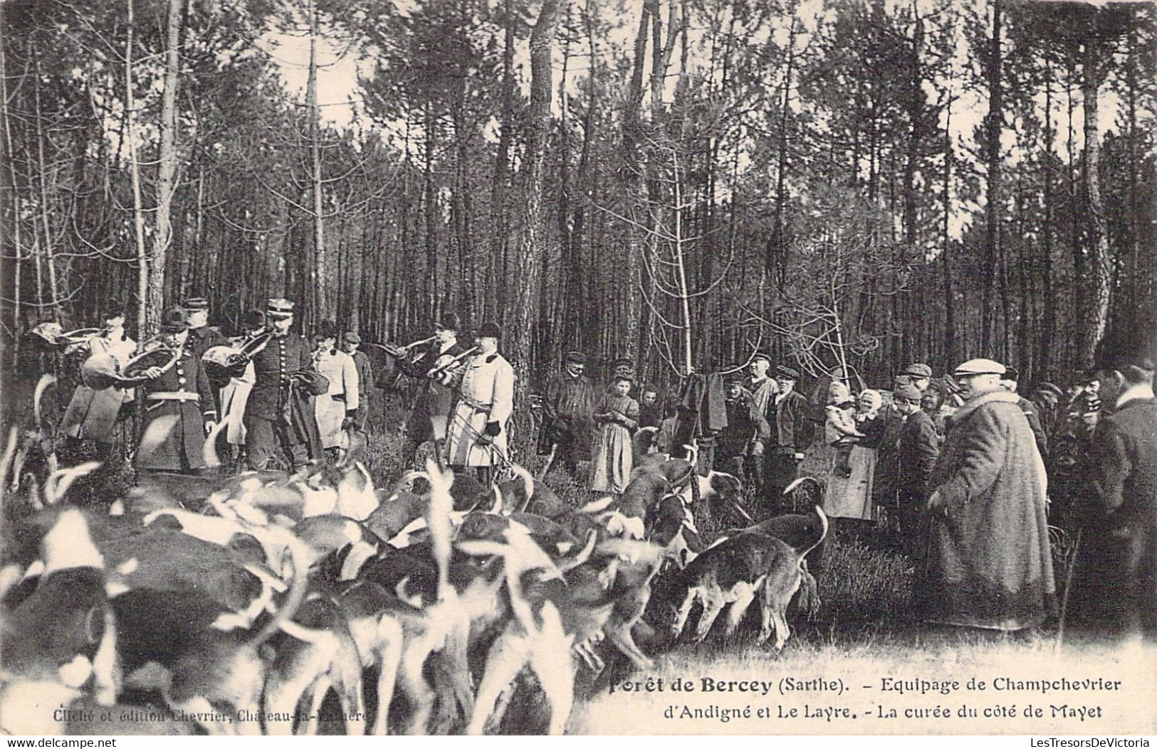 CPA - FRANCE - Chasse - Chasse à Courre - Forêt De BERCEY - Equipage De Champchevrier - La Curée Du Côté De Mayet - Caza