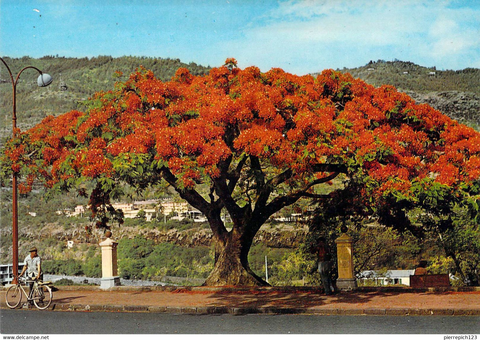 Saint Denis - Flamboyant, Boulevard Lacaussade - Saint Denis