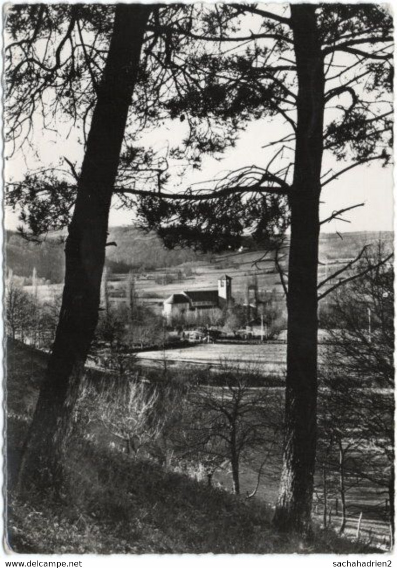 65. Gf. TOURNAY. Abbaye Notre-Dame - Tournay