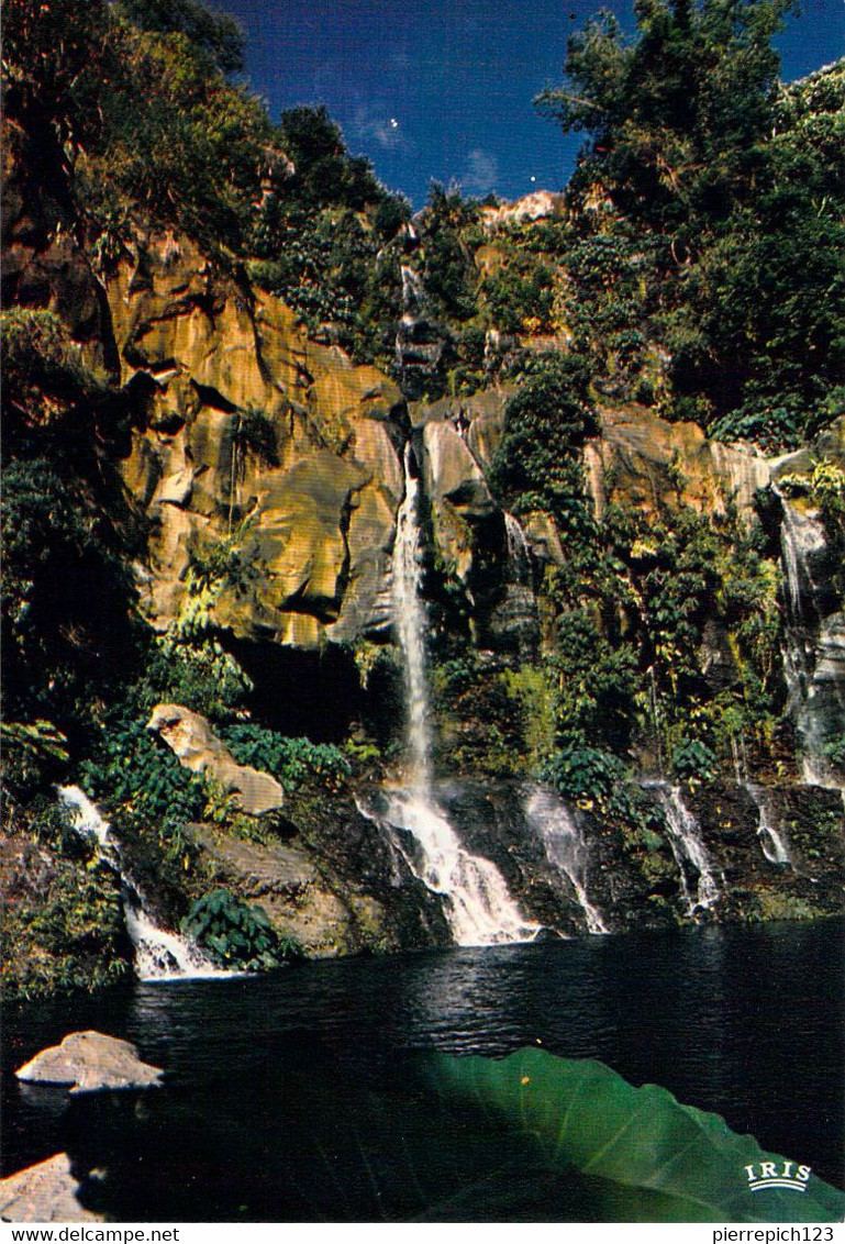 Saint Paul - Saint Gilles - Bassin Des Aigrettes - Saint Paul