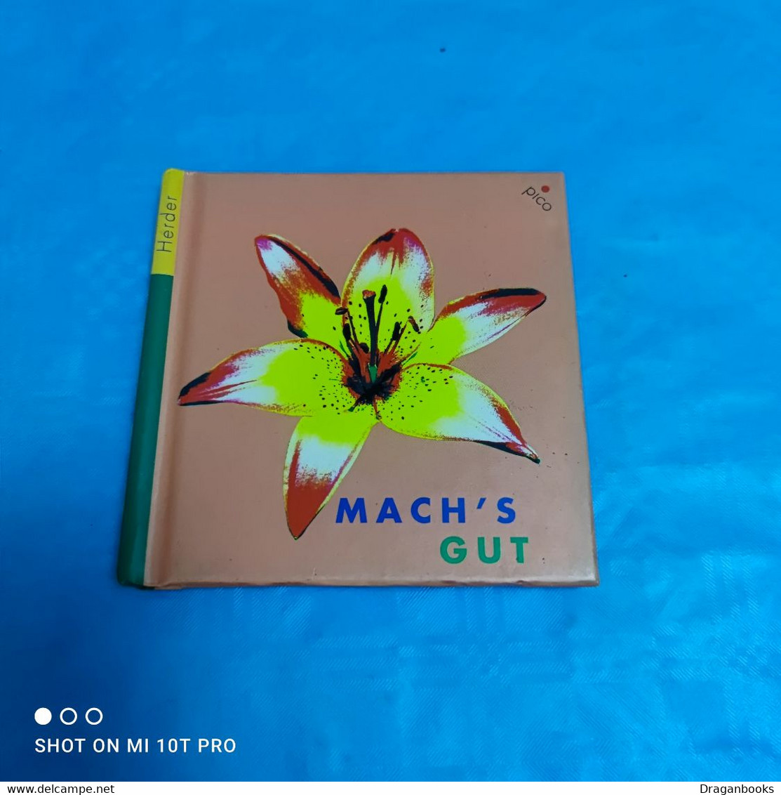 Mach's Gut - Filosofía