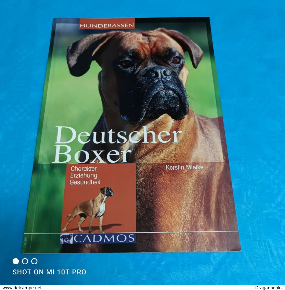 Kerstin Mielke - Deutscher Boxer - Animales