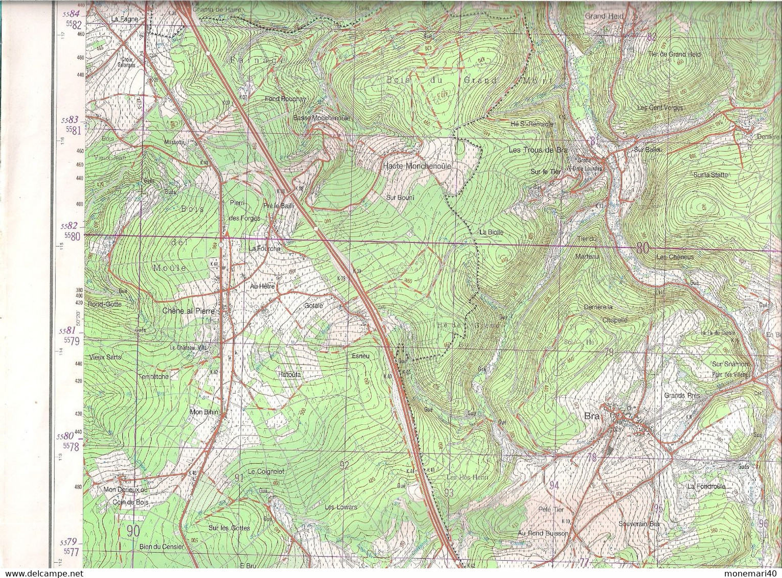 BELGIQUE - CARTE TOPOGRAPHIQUE - BRA - LIERNEUX (MANHAY - MALEMPRÉ - VAUX-CHAVANNE - ARBREFONTAINE)  55/3-4 . - Cartes Topographiques