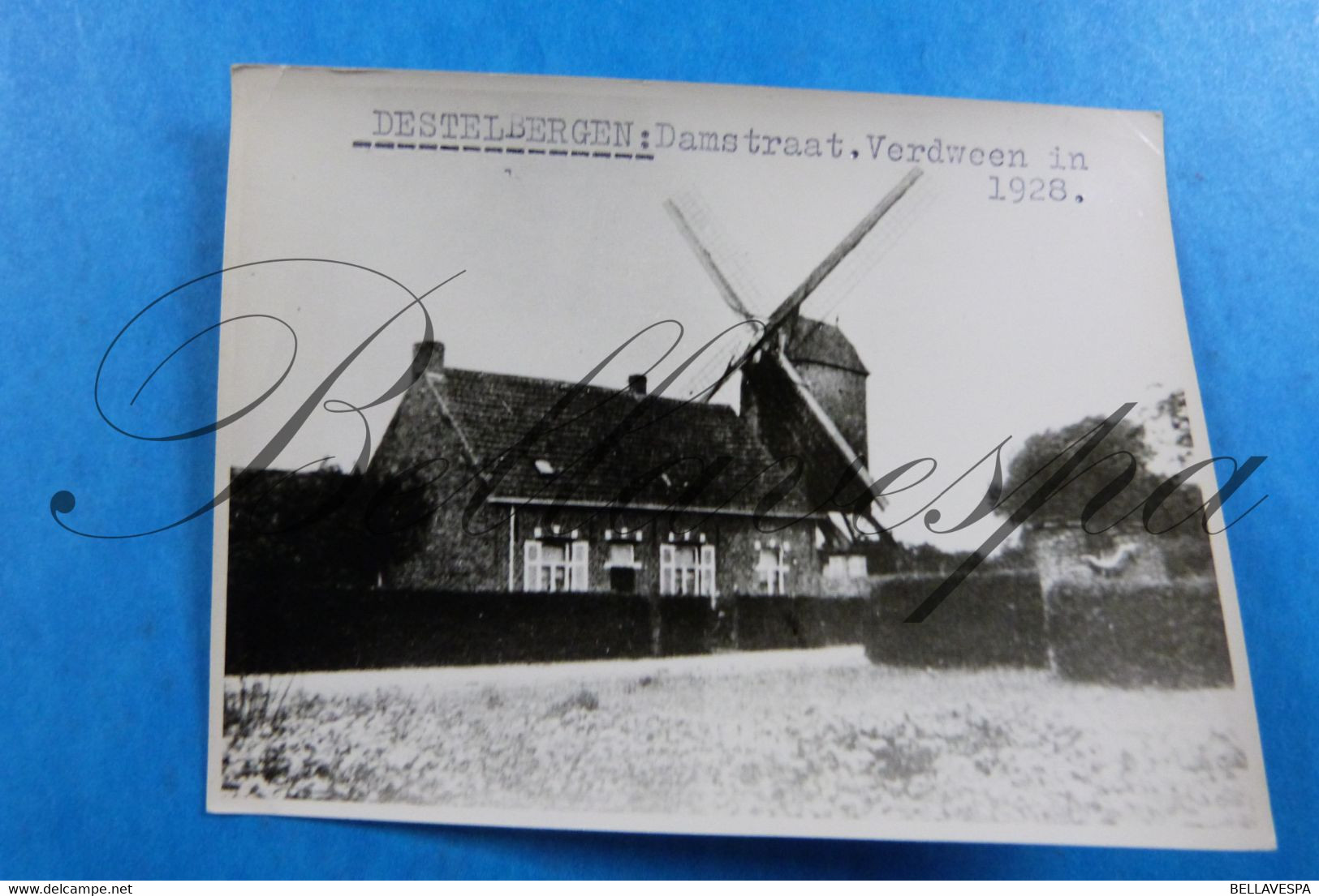 Destelbergen Damstraat  Windmolen  Moulin à Vent. Molen - Destelbergen