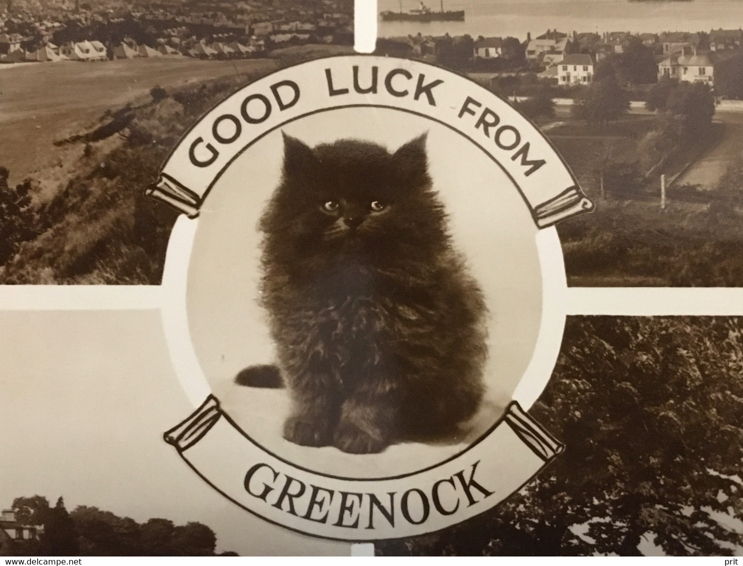 Good Luck From Greenock Renfrewshire Scotland ~1920-30s Lovely Cat, Unused Postcard. Publisher Valentine & Sons - Renfrewshire