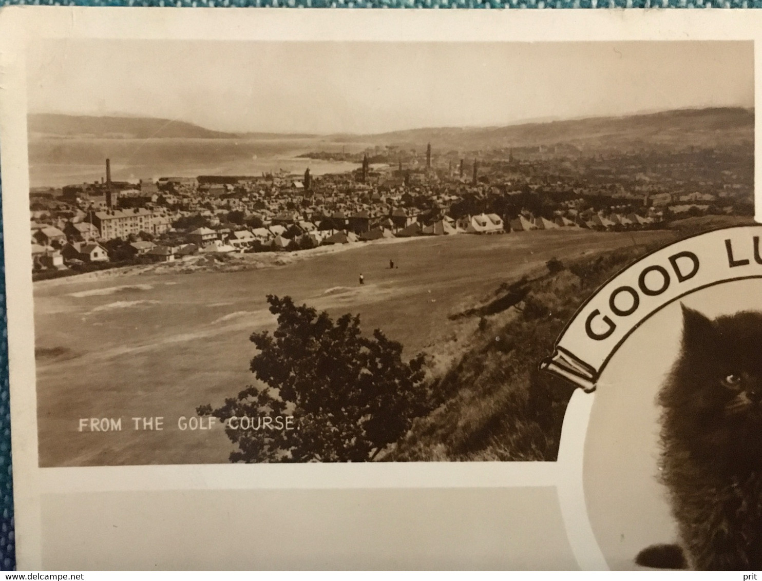 Good Luck From Greenock Renfrewshire Scotland ~1920-30s Lovely Cat, Unused Postcard. Publisher Valentine & Sons - Renfrewshire