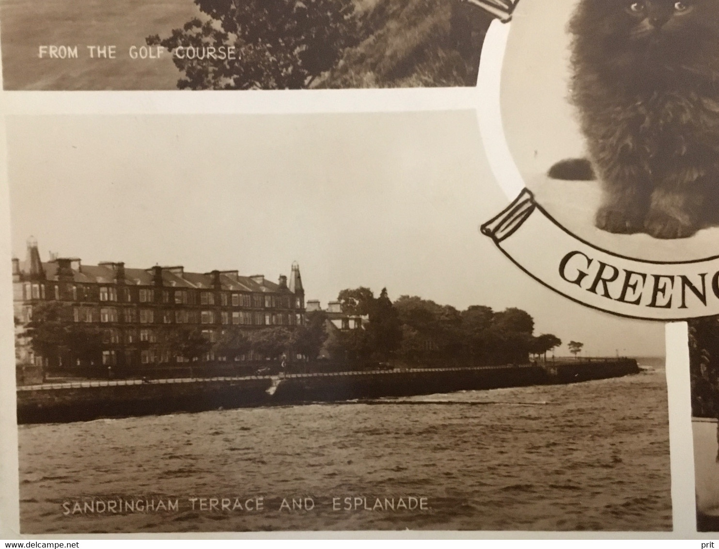 Good Luck From Greenock Renfrewshire Scotland ~1920-30s Lovely Cat, Unused Postcard. Publisher Valentine & Sons - Renfrewshire