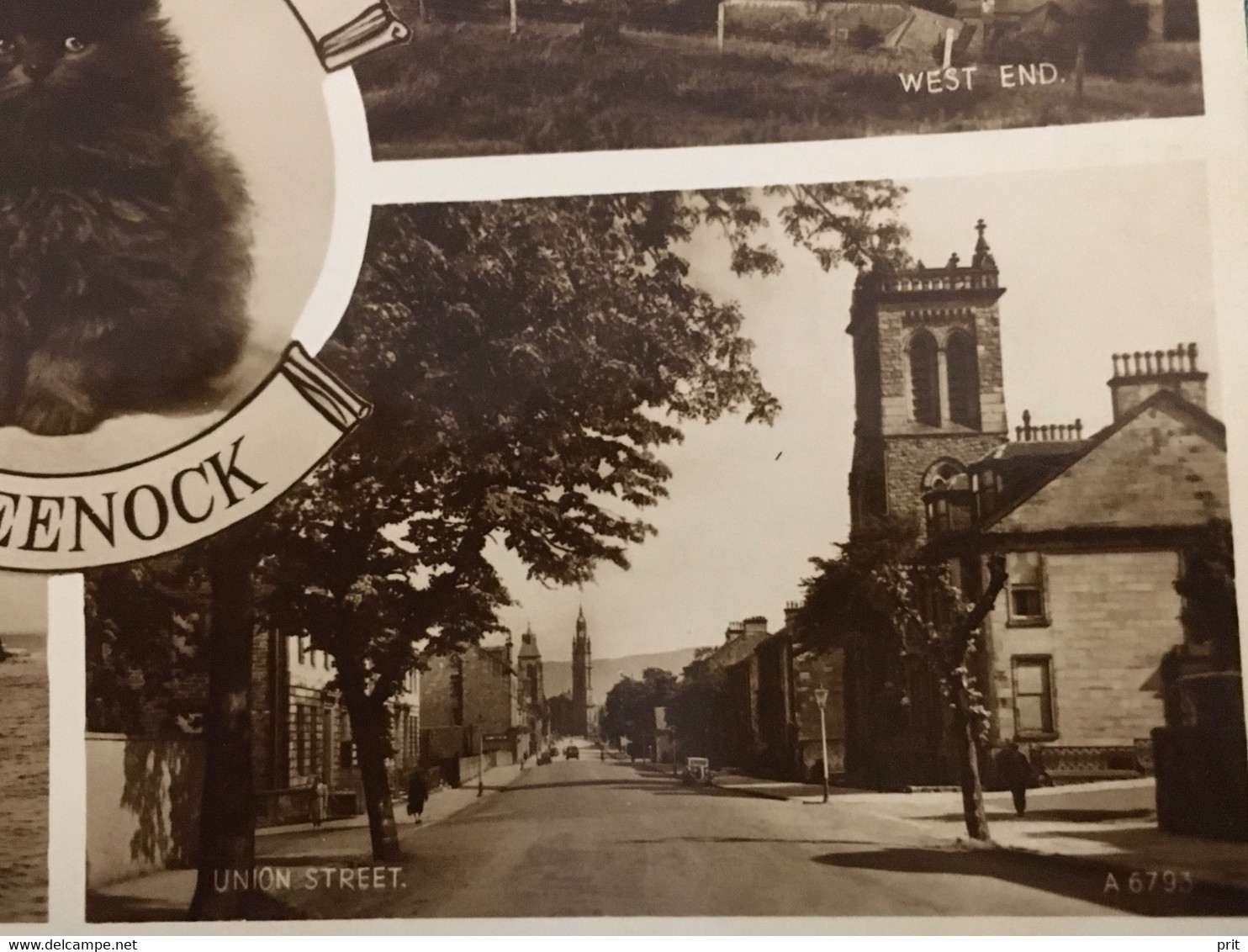 Good Luck From Greenock Renfrewshire Scotland ~1920-30s Lovely Cat, Unused Postcard. Publisher Valentine & Sons - Renfrewshire