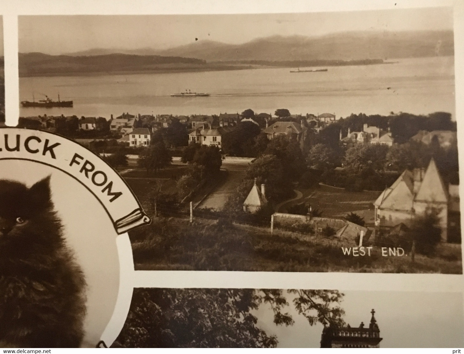 Good Luck from Greenock Renfrewshire Scotland ~1920-30s Lovely Cat, Unused Postcard. Publisher Valentine & Sons