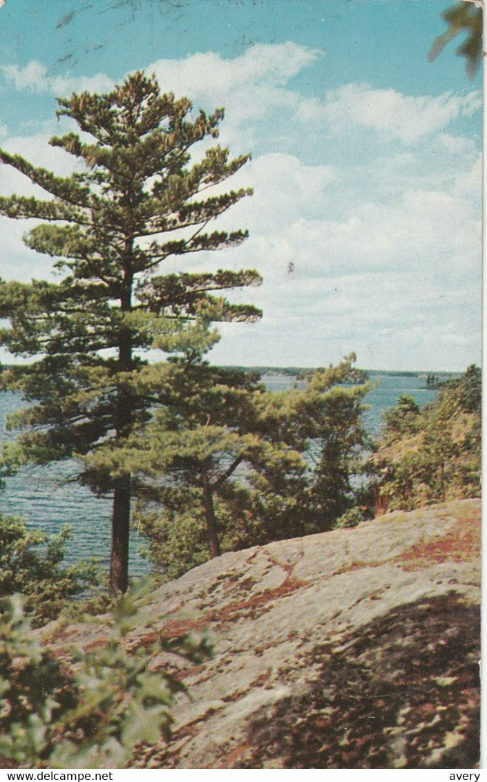 Stately Pines And Rugged Shores, Muskoka Lakes, Ontario - Muskoka