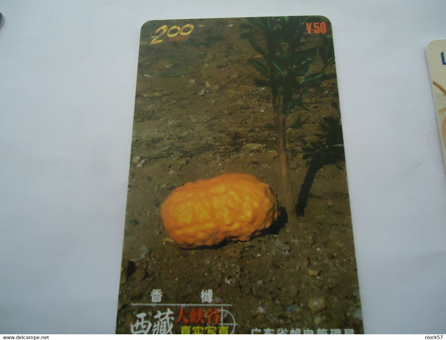 CHINA  USED   PHONECARDS  MAGNETIC FOREST      TREE - Landschaften