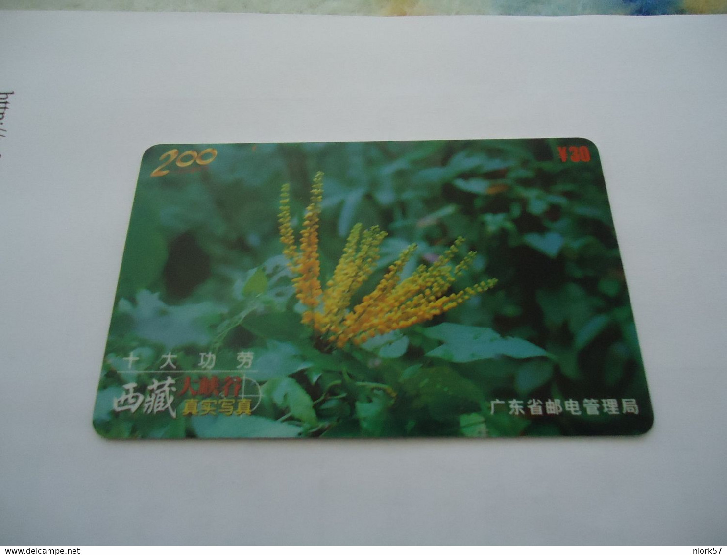 CHINA  USED   PHONECARDS  MAGNETIC  MARINE LIFE FISHES CORAL - Peces